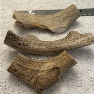 Natural Antler Rustic Decor, Crafts  or Chews for Dogs